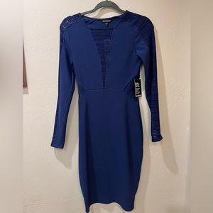 Express body con dress